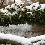 Del Aire | Torrellas. Tarazona/moncayo *