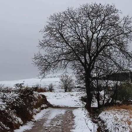 Del Aire Tarazonamoncayo Holiday home *