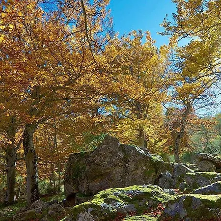 Del Aire Tarazonamoncayo