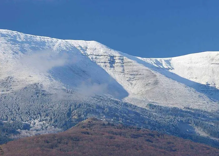 Del Aire | Torrellas. Tarazona/moncayo *