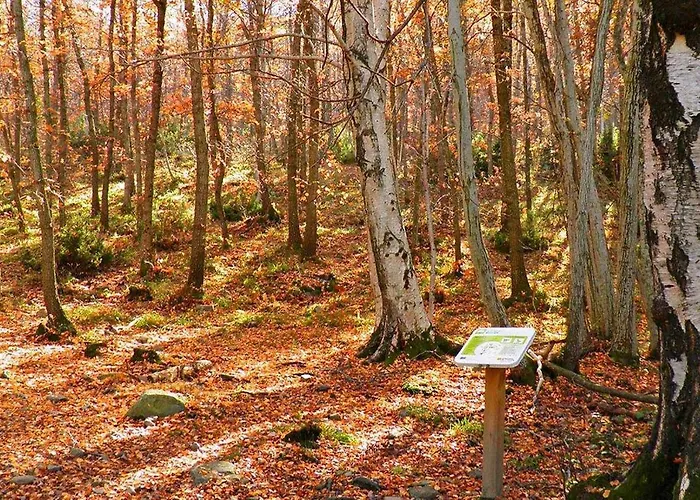 Del Aire | Torrellas. Tarazona/moncayo *