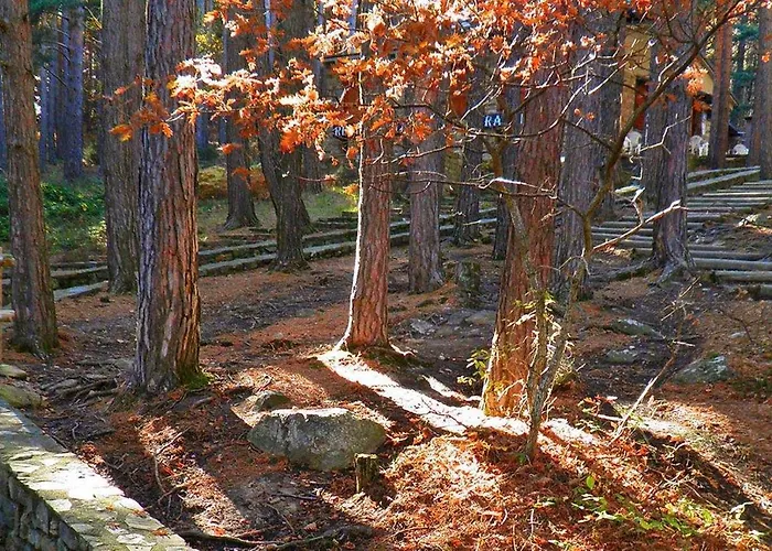 Del Aire | Torrellas. Tarazona/moncayo * Torrelles