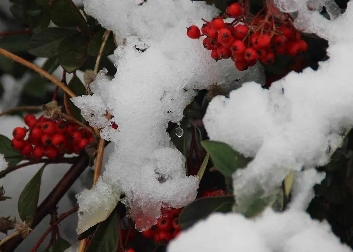 Del Aire | Torrellas. Tarazona/moncayo *