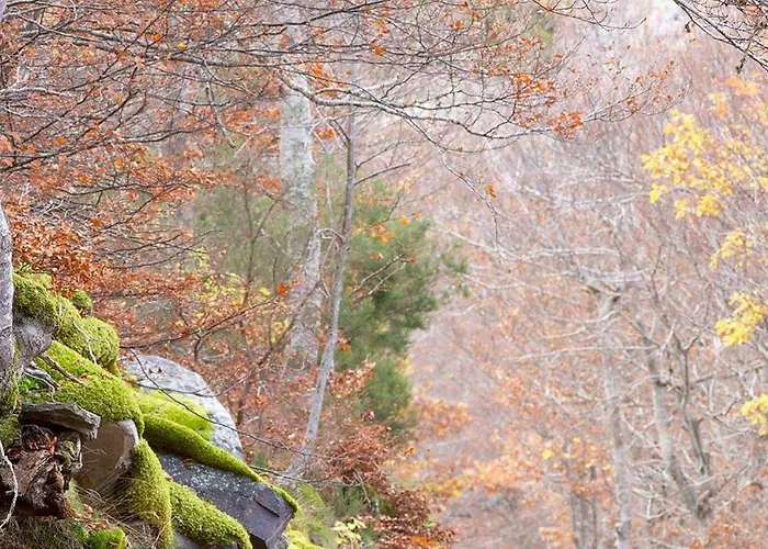 Del Aire | Torrellas. Tarazona/moncayo Casa vacanze