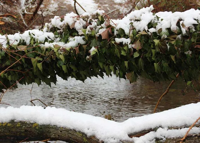 Del Aire | Torrellas. Tarazona/moncayo *