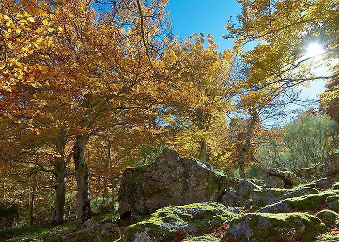 Del Aire | Torrellas. Tarazona/moncayo