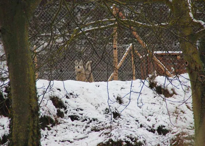 Del Aire | Torrellas. Tarazona/moncayo Σπίτι διακοπών *